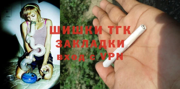 сатива Арсеньев